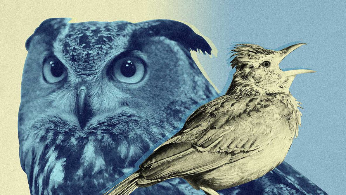 Morning People Vs. Night Owls: 9 Insights Backed By Science